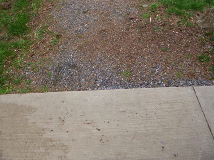 Paved surface on to natural surface with gravel at shelter – may have a lip